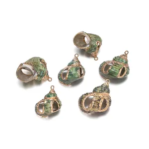 Colgantes de concha natural verde con bordes dorados para la creación de joyas DIY