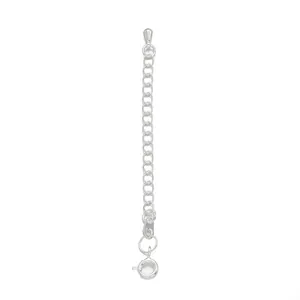 Detailed view of silver jewelry extender chain with spring clasp for DIY necklaces