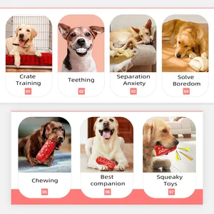 Detaillierte Infografik zeigt Vorteile des quietschenden Pilz-Hundespielzeugs zum Kauen.