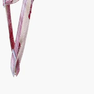 Close-up detail of red checkered pet harness strap with durable white plastic buckle.