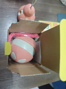 Close-up detail of the pink beetle-shaped tumbler cat toy inside its cardboard packaging