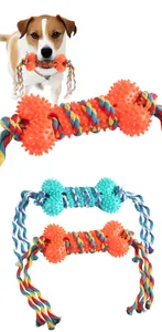 Durable dog chew toy featuring a spiked rubber bone and colorful braided cotton rope