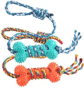 Durable dog chew toys with spiked bone-shaped TPR and multi-colored braided ropes.