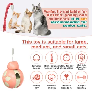 Pink beetle tumbler cat toy detail showing slow feeder function and teaser wand