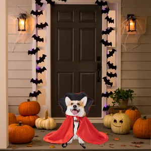Corgi indossa mantello da vampiro rosso e nero per costume Halloween