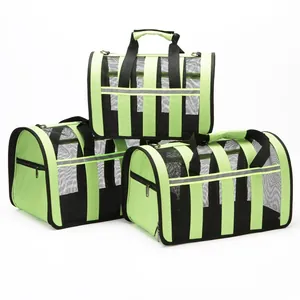 Portable breathable pet carrier bag in green and black for cats and small dogs