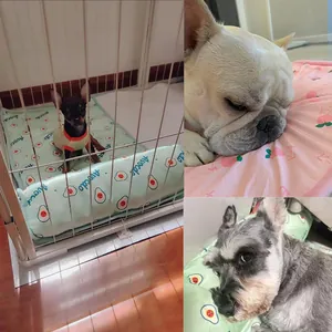 Honden die rusten op zomerse koelmatten van ijszijde met schattige avocadopatronen.