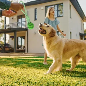 Interaktives grünes Hundespielzeug aus Seil in einem sonnigen Garten mit Golden Retriever