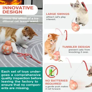 Infographic of beetle-shaped tumbler cat toy with teaser wand and swing feature