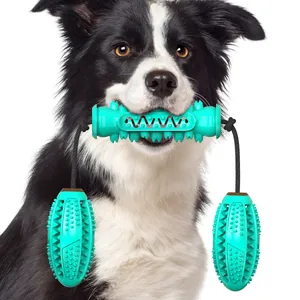 Gros plan d'un Border Collie tenant un jouet à mâcher robuste turquoise avec cordes