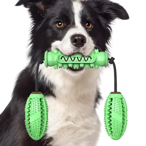 Gros plan d'un chien tenant un jouet à mâcher en caoutchouc vert avec des cordes