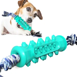 Duurzaam TPR Rubber Hondenkauwspeelgoed Voor Gebitsreiniging Interactieve Molaire Stick Met Gevlochten Katoenen Touw Voor Honden