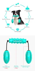 Infographie détaillée du bâton dentaire turquoise pour chien et balle distributrice TPR