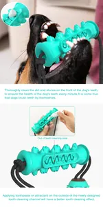 Vue détaillée du jouet brosse à dents turquoise pour chien montrant l'application du dentifrice.