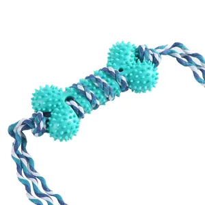 Teal rubber bone dog chew toy with blue and white twisted cotton rope for dental care