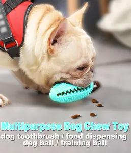 Bouledogue français mâchant un jouet brosse à dents en caoutchouc bleu sarcelle polyvalent