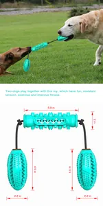 Jouet à mâcher durable pour chien turquoise avec corde et schéma technique de taille