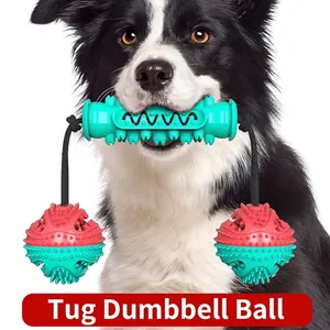 Jouet Molaire pour Chien Os à Mâcher en Caoutchouc TPR Brosse à Dents Avec Corde pour Nettoyage Dentaire Entraînement Interactif