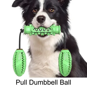 Jouet à mâcher vert pour chien avec corde pour le nettoyage et le soin des dents