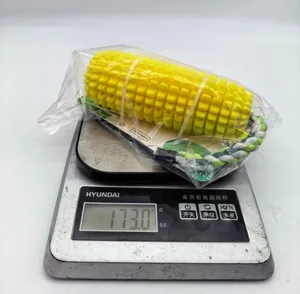 Détail de la mesure du poids de 173,0 g pour le jouet à mâcher pour chien en forme de maïs