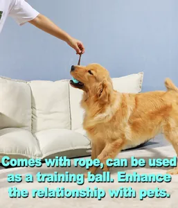 Détail montrant un Golden Retriever jouant avec la balle de sport en caoutchouc bleu