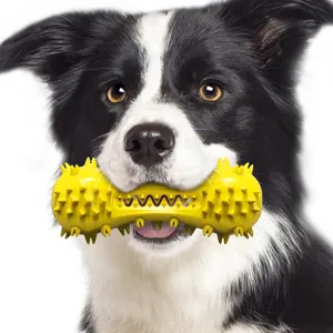 Gros plan d'un Border Collie tenant un jouet pour chien jaune à picots sonores