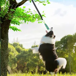 Interaktives Bungee-Hundespielzeug mit hoher Rückfederung zum Aufhängen im Freien