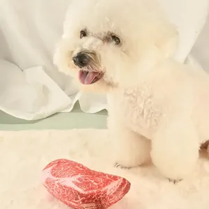 Gros plan d'un jouet en peluche pour chien en forme de steak sur un tapis doux.