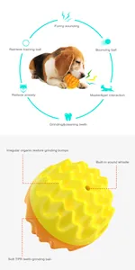Squeaky dog molar ball with TPR texture for teeth cleaning and interactive training.