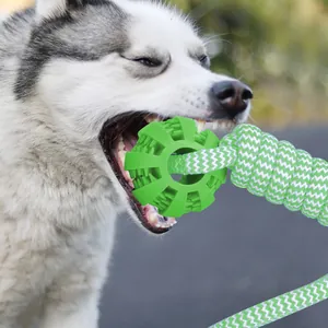 Actionaufnahme eines Hundes, der in einen grünen Gummiball mit geflochtenem Seil beißt.