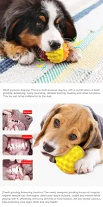 Detailed view of a squeaky dog toy ball designed for effective teeth cleaning and training.