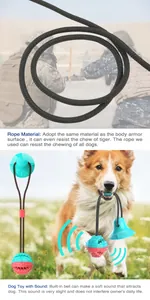 Dettaglio del giocattolo per cani con ventosa, corda resistente e palla premi.