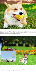 Yellow textured squeaky dog ball shown being used for outdoor fetching and training