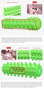 Dettaglio di un giocattolo per cani verde con protuberanze e scanalature di pulizia