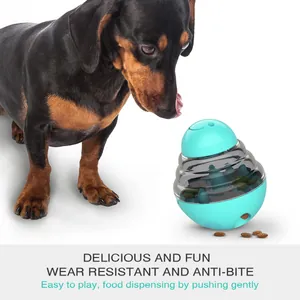 Jouet distributeur de friandises interactif pour chien avec un teckel très joueur.