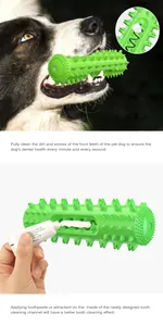 Dettaglio dell'applicazione del dentifricio sul giocattolo da masticare verde per cani