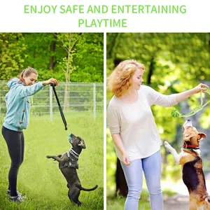 Outdoor-Action-Aufnahme von Frauen, die mit Hunden mit Bungee-Zerr- und Ballspielzeugen spielen
