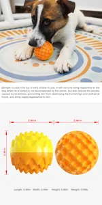 Durable squeaky dog toy ball for molar training with 2.44 inch dimension detail