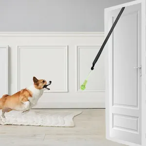 Corgi-Hund springt nach einem grünen Maiskolben-Hundespielzeug an einer weißen Tür