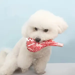 Chien Bichon Frisé blanc tenant un jouet en peluche réaliste en forme de steak