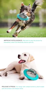 Chien attrapant un jouet puzzle UFO et chiot se relaxant avec un distributeur