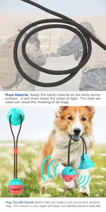 Detail of durable suction cup dog toy with chew-resistant rope and built-in sound ball