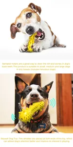 Gros plan de chiens utilisant le jouet à mâcher sonore jaune avec pointes dentaires