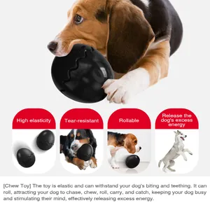 Jouet à mâcher pour chien en forme d'œuf de dinosaure noir, élastique et durable