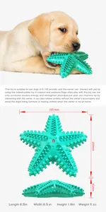 Detailed view of teal starfish dog squeaky toy showing dimensions and molar spikes