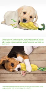 Jouet à mâcher pour chien en forme de maïs avec sifflet et textures de nettoyage