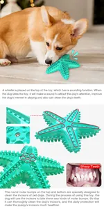 Detail view of starfish squeaky dog toy showing molar bumps for dental cleaning