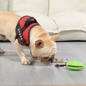 Jouet brosse à dents en caoutchouc vert pour chien avec distributeur de friandises
