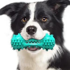Action d'un chien tenant un jouet à mâcher turquoise en forme d'haltère pour ses dents.