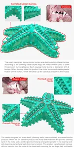 Detail view of starfish dog toy with serrated molar bumps and cleaning grooves for teeth